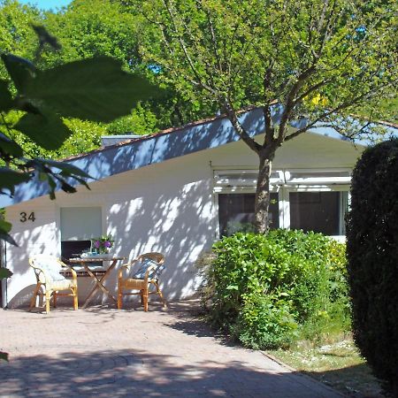 Vakantiehuis La Petite Redousse Renesse Εξωτερικό φωτογραφία