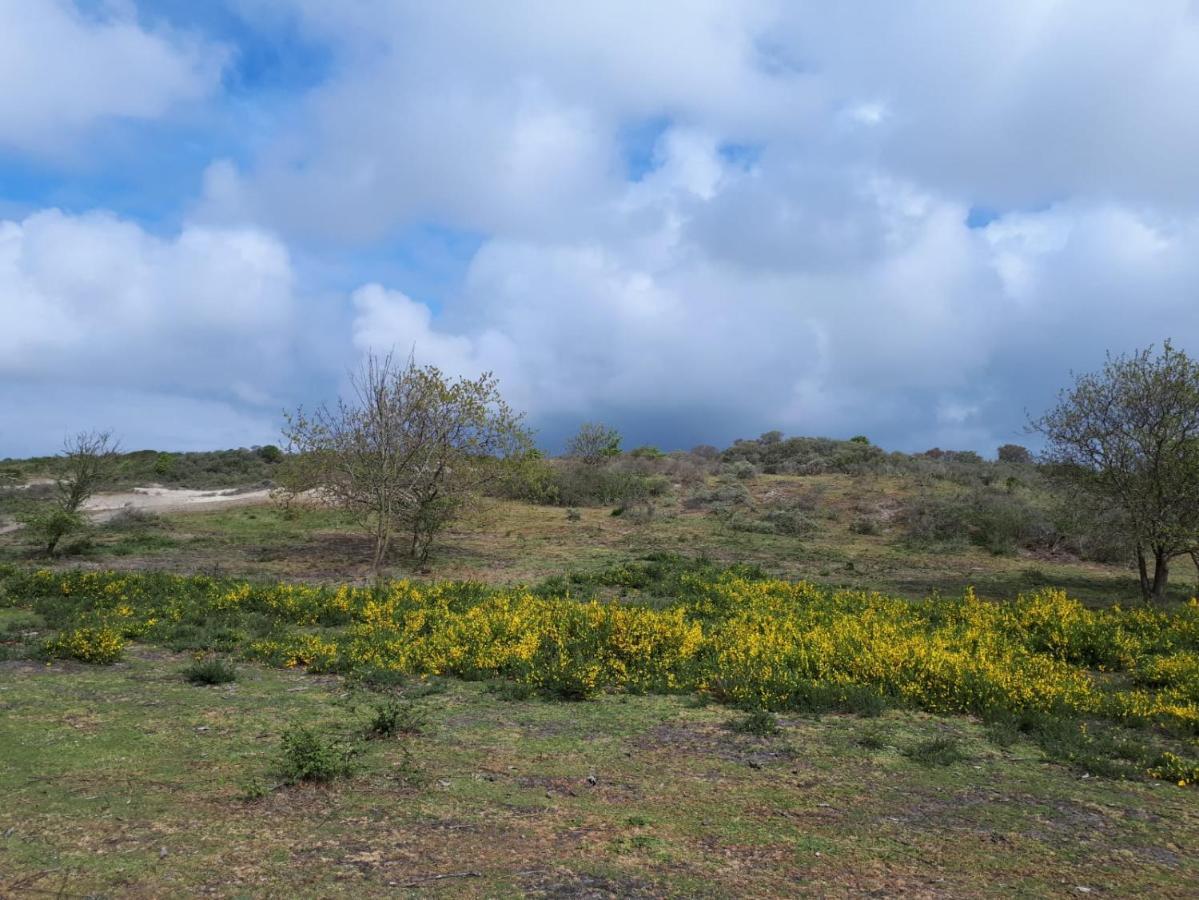 Vakantiehuis La Petite Redousse Renesse Εξωτερικό φωτογραφία