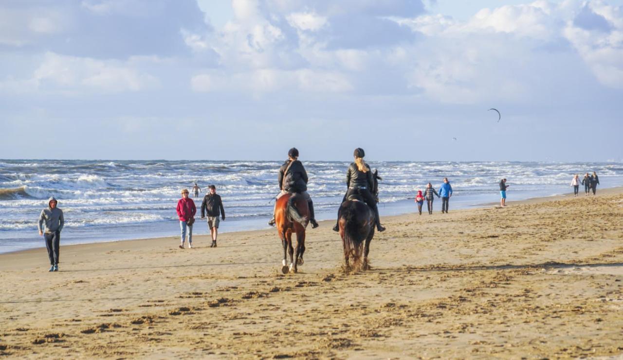Vakantiehuis La Petite Redousse Renesse Εξωτερικό φωτογραφία